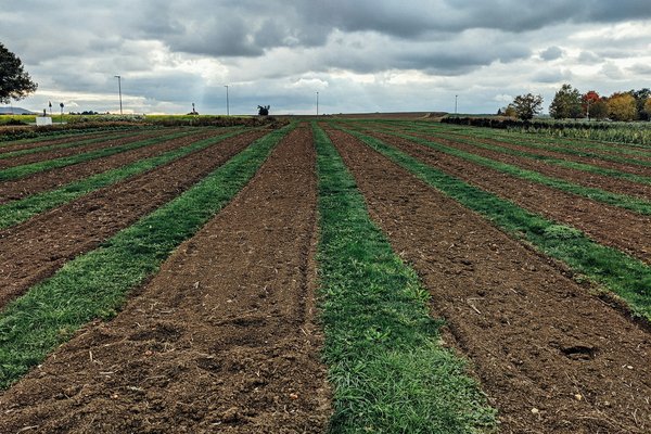 Quel est le processus pour convertir un terrain agricole en terrain constructible et comment cela influence-t-il le financement?